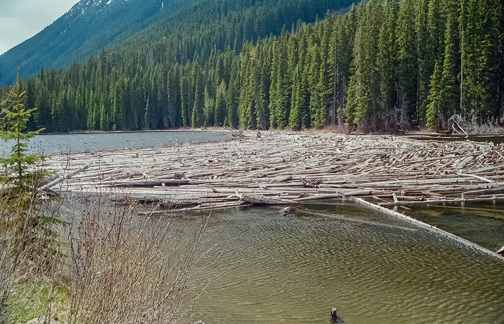 Lake Duffey