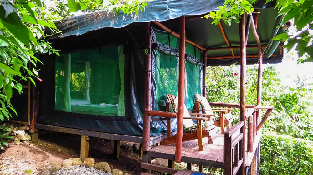Onze tent in Corcovado NP