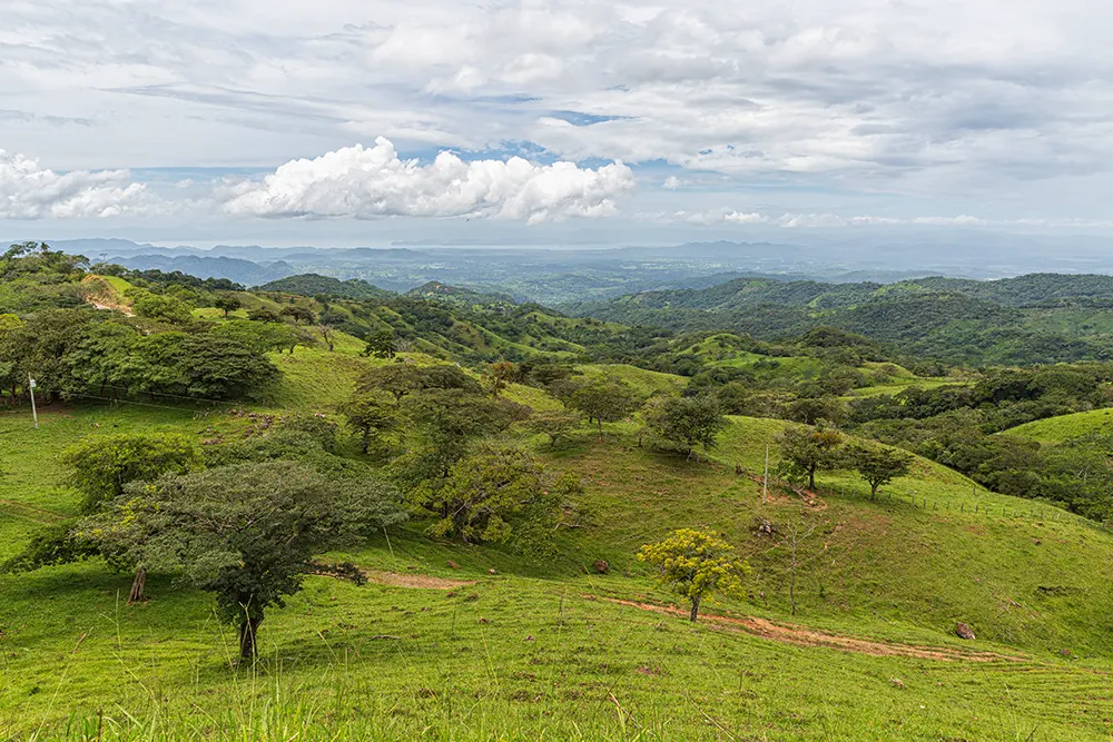 Zicht op Golf van Nicoya over het gewezen regenwoud