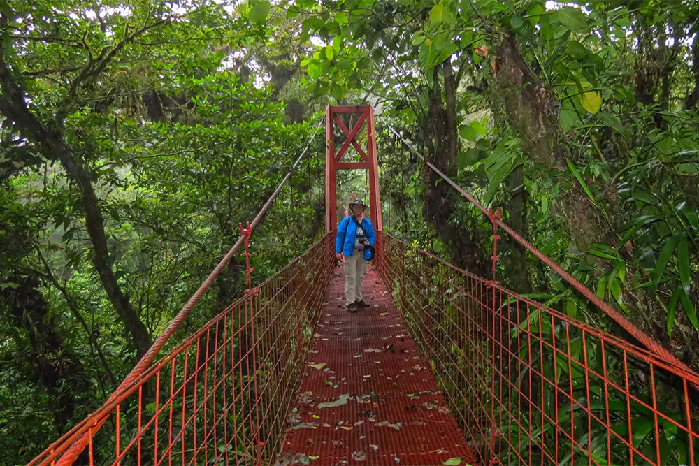 Zicht op Golf van Nicoya over het gewezen regenwoud