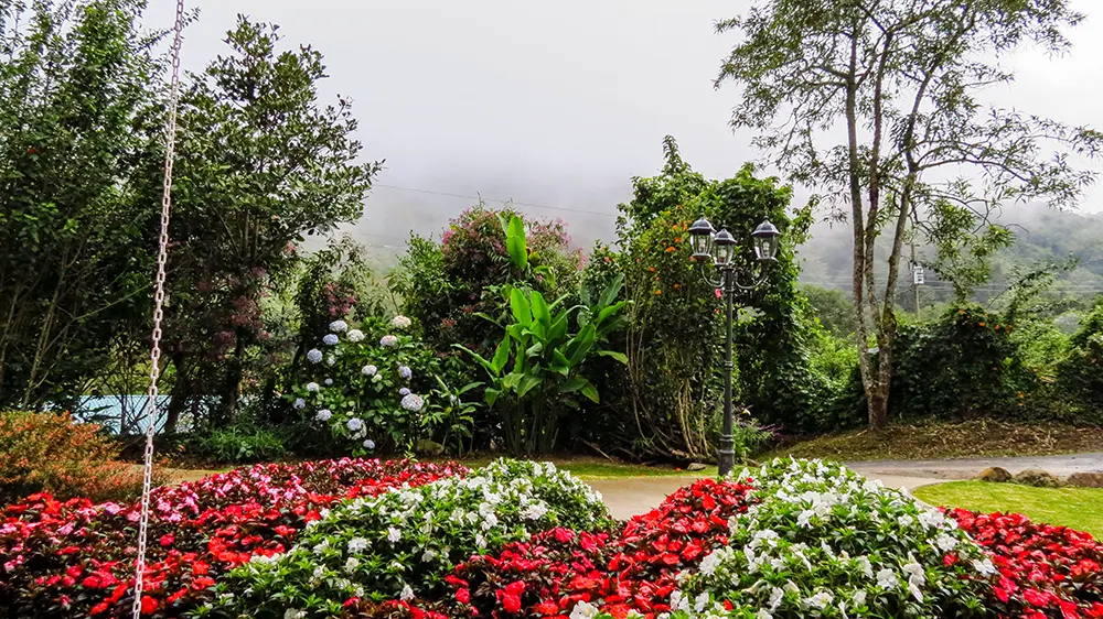 Tuin San Gerardo de Dota