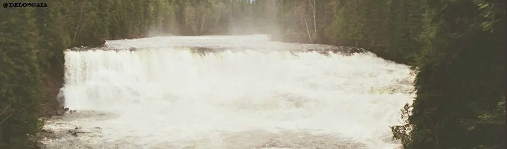 Canada, Wells Gray Park: Dawson falls