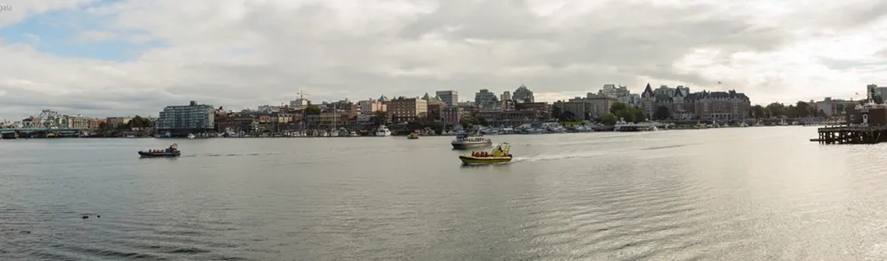 Victoria haven