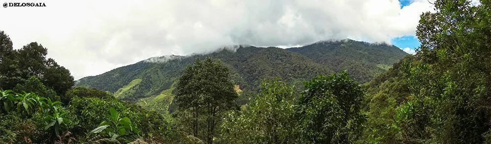 San Gerardo de Dota vallei