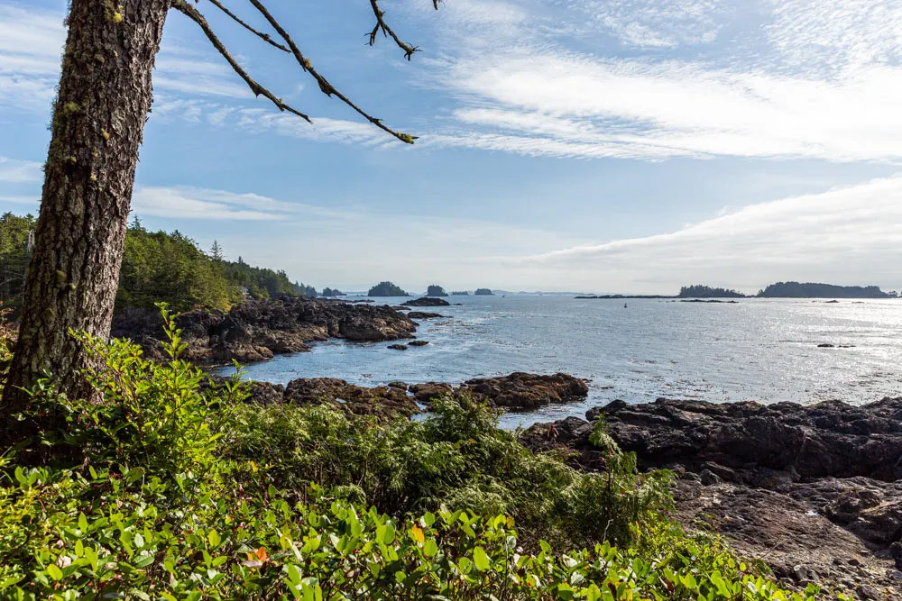 Eilanden gelegen in de Barkley Sound