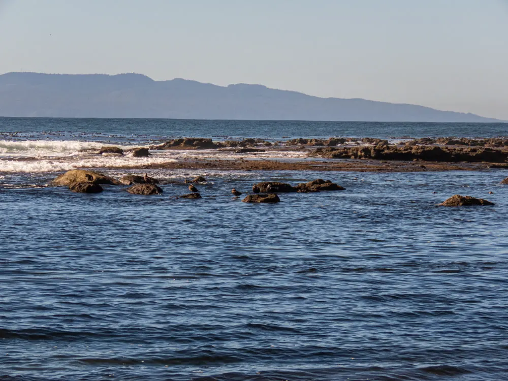 Botanical Beach