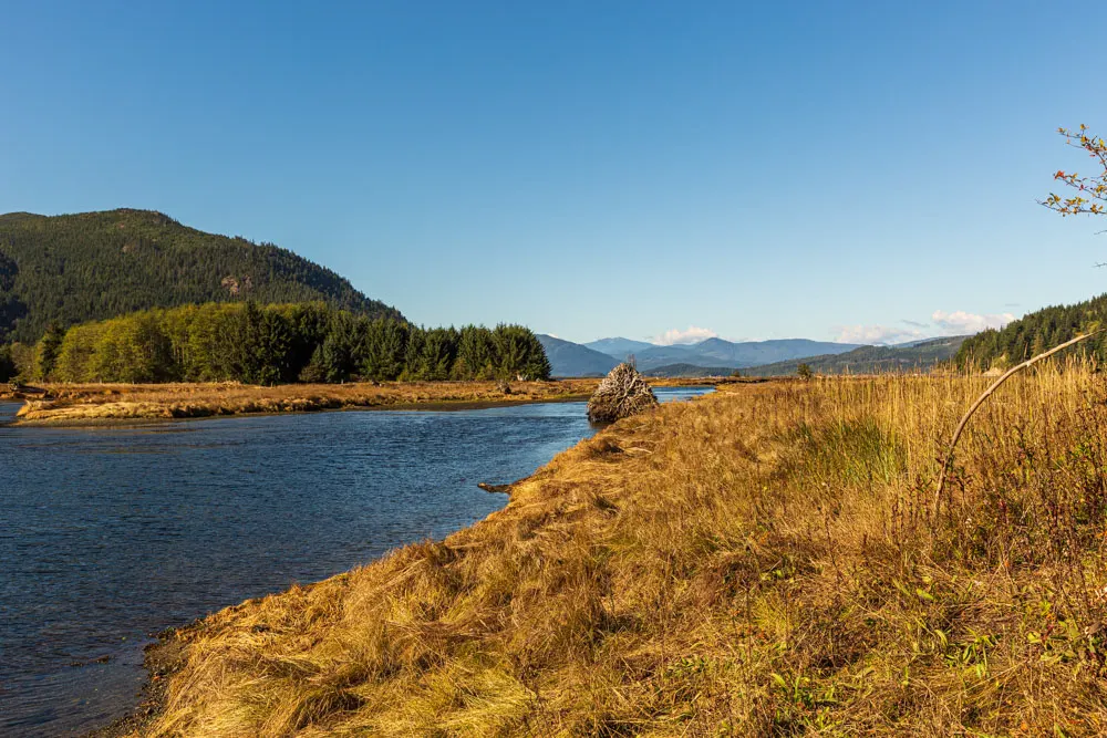 Monding van de Salmon River